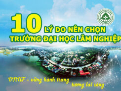 Đào tạo Tiến sĩ tại Trường Đại học Lâm nghiệp