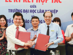 Lễ ký kết hợp tác giữa Trường Đại học Lâm nghiệp và Tổ chức giáo dục IIG Việt Nam