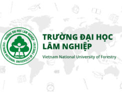 Các bài báo, ấn phẩm, báo cáo khoa học từ năm 2018 đến nay