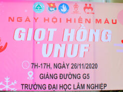 Ngày hội hiến máu tình nguyện 2020